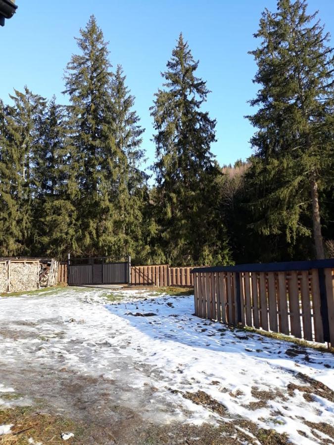 Ozdoba Villa Verkhovijna Eksteriør bilde