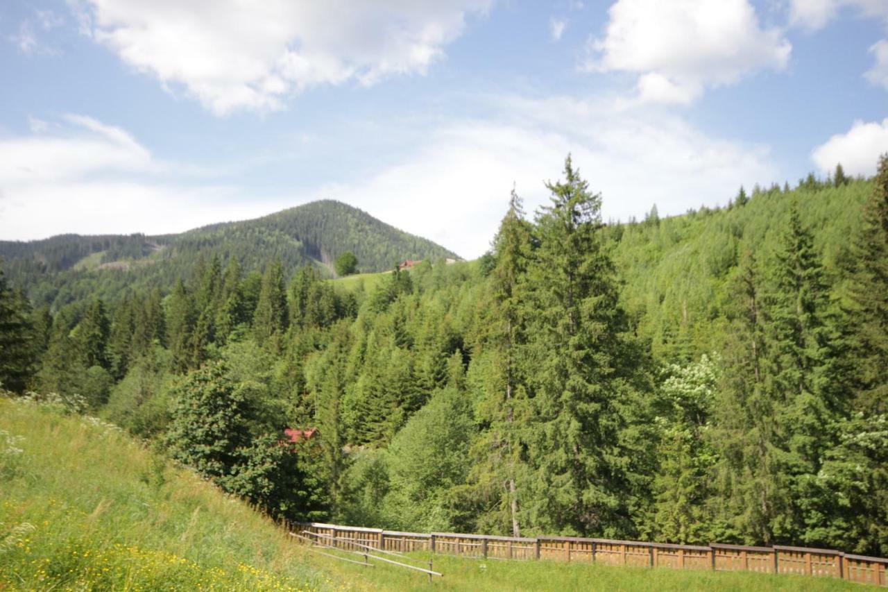 Ozdoba Villa Verkhovijna Eksteriør bilde
